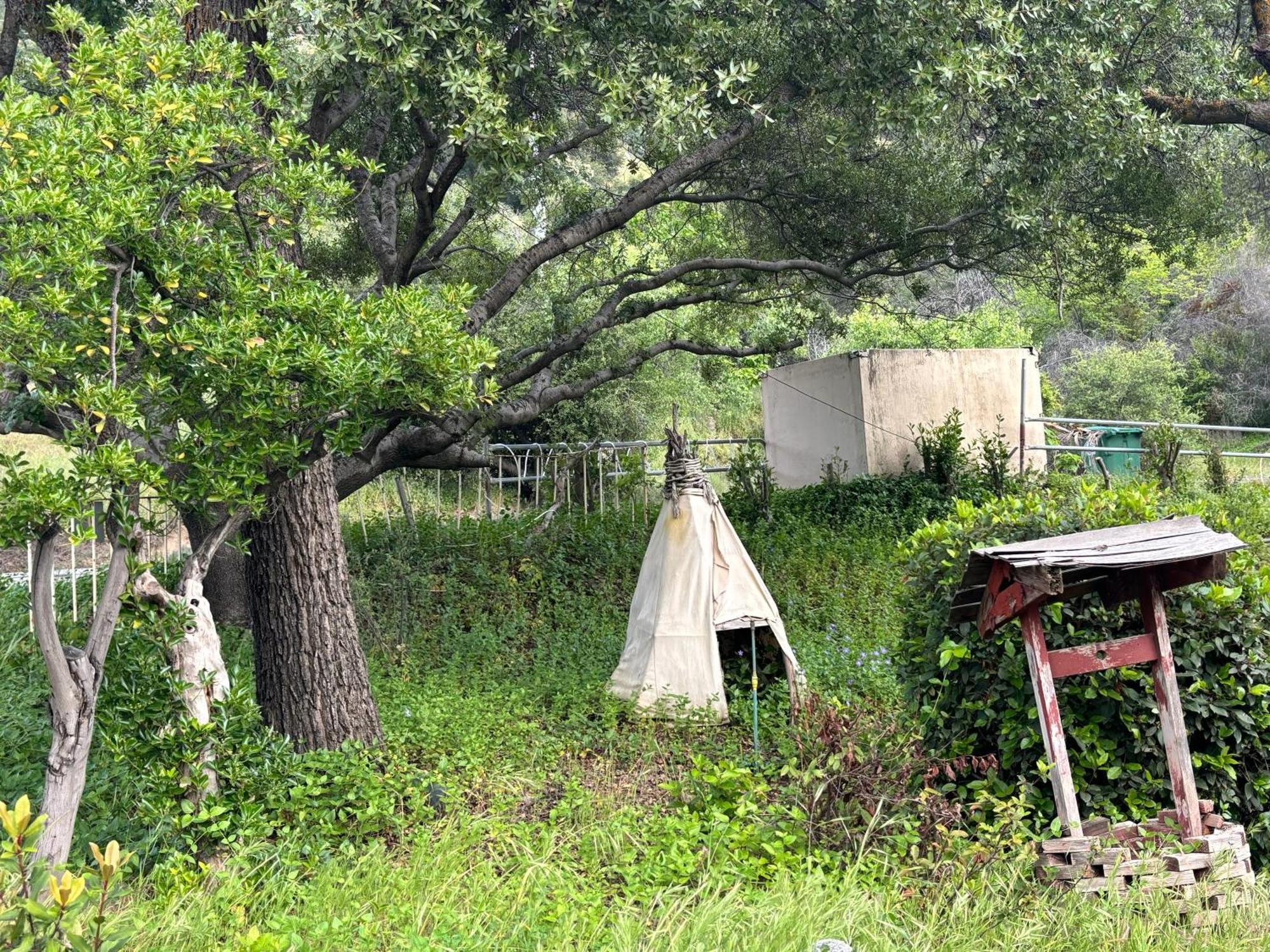 Sequoia River Front Cabins Three Rivers Luaran gambar